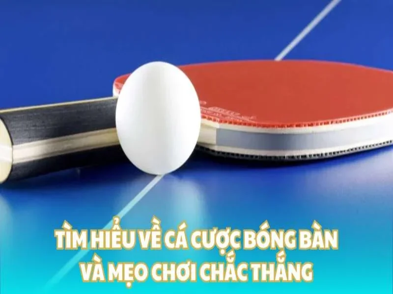 Lựa Chọn Loại Cược Phù Hợp Với Chiến Thuật