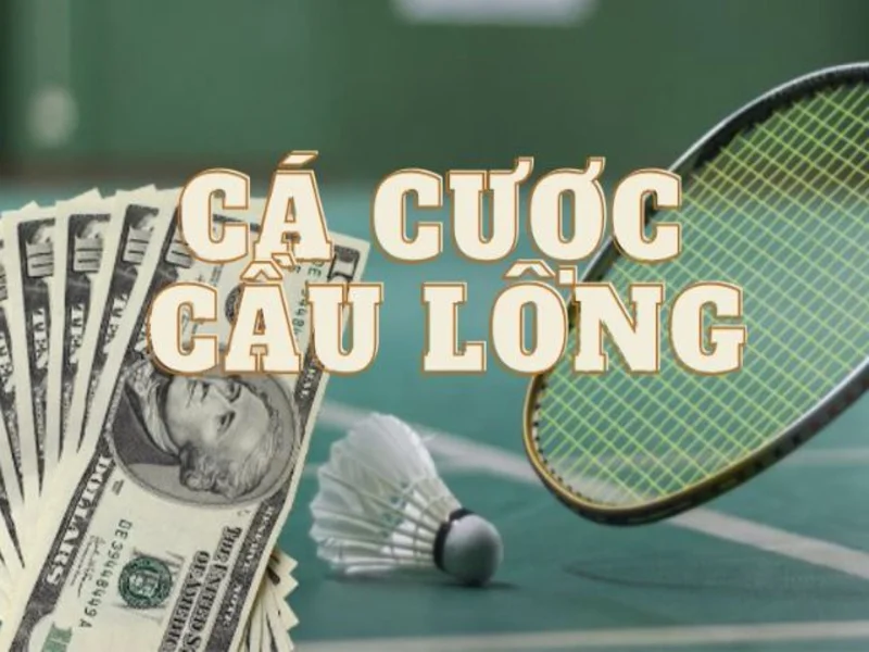 Cá Cược Cầu Lông - Đặt Cược Thể Thao Hấp Dẫn Tại Kubet777