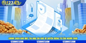 Các thành phần chính của chính sách